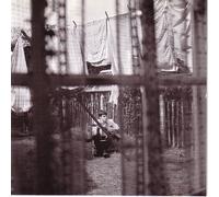 Chaos and creation in the backyard