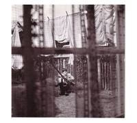 Paul McCartney – Chaos and Creation in the Backyard – Parlophone