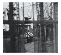 Chaos And Creation In The Backyard