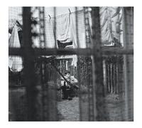 Paul McCartney – Chaos and Creation in the Backyard – CD