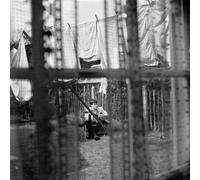 Chaos and Creation in the Backyard by Paul McCartney