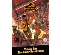 Chaos Theory: The Junior Novelization