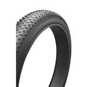 CHAOYANG Copertura 24x4 BIG Daddy 30TPI Rigido Nero Plus Basic Line