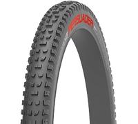 CHAOYANG Standart Tube Tyre 29x2,4 Persuader Wet 60TPI Tubeless Ready BtoB Unisex-Adult, Noir, Unique
