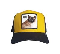 Chapeau Avec Visiere Goorin Bros. Cool Cat Unisexe Synthétique Or