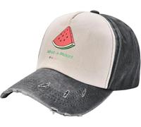 Chapeau classique pour homme, chaud pur coton。What A Melon! Casquette de baseball Anime Chapeau de luxe pour homme Casquette pour femme Chapeaux pour le soleil Hommes Multicolore