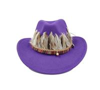Chapeau Cowboy Cowboy Hat Men's and Women's Knight Curled Feather Accessories Jazz Sunset Travel Beach(Color-21)