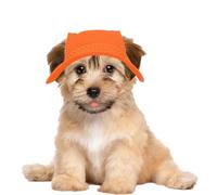 Chapeau d' pour animaux de compagnie avec protection solaire pour | l'extérieur avec visière pour chiens à aile | Somb