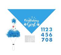 Chapeau d'Anniversaire pour Chien - Ajustable Réutilisable Taille S M L | Bandana d'Anniversaire pour Chien | Réutilisable Petit moyen grand Bandana animal Chapeau chien Numéro Bannière photobooth Fou