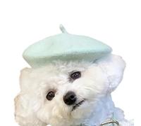 Chapeau de bérets pour Animaux de Compagnie, Mint Green