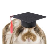 Chapeau de médecin pour animal de compagnie, chapeau de déguisement de remise de diplôme pour hamster avec pompon rouge, casquette de célibataire pour chiens, chats, hamster