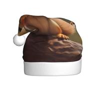 Chapeau de Noël en peluche pour adulte YYHWHJDE Timide petit écureuil imprimé doux et confortable pour les fêtes, danses d'Halloween