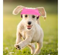 Chapeau de plage pour chien - Chapeau de plage pour chien - Casquette pour chien, capuche réglable et respirante avec trous d'oreille pour chiens de petite et moyenne taille, design léger, idéal pour