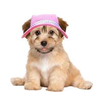 Chapeau de protection solaire pour animaux de compagnie | Casquette de poreuse en avec trous d'oreille et mentonnière réglable pour l'été | Chapeau de paille pour chien Sombrero pour animaux de compag