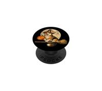 Chapeau de sorcière Corgi Jack O Lantern Citrouille Pleine Lune Balai PopSockets PopGrip Adhésif