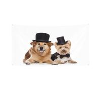 Chapeau d'Halloween à couverture complète avec motif chiens mignons - Couvre-chef de sorcière pliable pour festivals, fêtes et fêtes avec tissu lavable en machine