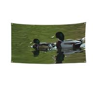 Chapeau d'Halloween Loon Nature Bird - Couverture complète - Couvre-chef de sorcière pliable pour festivals, fêtes et fêtes avec tissu lavable en machine