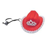 Chapeau d'oie pour animal de compagnie, accessoire de costume, petit chapeau idéal pour les propriétaires d'animaux créatifs, événements, photographie, couronne petite