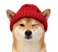 Chapeau pour Chat Avec Troux pour Oreilles Doux et Mignon Couvre-Chef | Bonnet d'Hiver pour Chats et Accessoire Idéal Temps Froid Taille S M L Fête Promenade Anniversaire Séance Photo