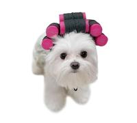 Chapeau pour chat - Bigoudis drôles - Fausses frange - Costume de propriétaire - Pour petits chats et chiens