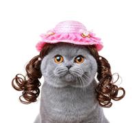 Chapeau pour chiot - Costume de perruque drôle - Chapeau animal pour chiens | Animal Party Noël Halloween hiver soleil plage