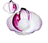 Chapeau Tête d'Oignon | Accessoire Coiffe Cosplay,Coiffe Halloween Cosplay | Pour Femmes Hommes Carnaval Scène Spectacle Événements à Thème Fêtes Costumées Séances Photo Cinéma Mascarade Pièces