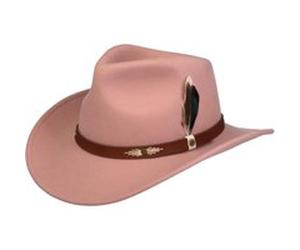 Chapeau Western Cavrick Wool by Stetson rose M (56-57 cm)