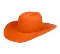 Chapeau Western Payson 2X Wool by Bailey 1922 terre cuite 7 0/0 (55,8 cm)