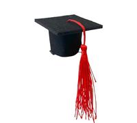 chapeaux de diplôme, pince à cheveux pour chapeau de diplôme, bandeau de chapeau de doctorat - Fournitures de décoration photo de fête de remise des diplômes, 10 inserts pour