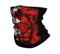 Chapeaux Demi-Visage Drapeau Drôle De Lion Tube Bandeaux Élastique Balaclava pour Jogging, Moto, Vélo
