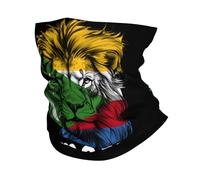 Chapeaux Demi-Visage Drapeau Drôle des Comores avec Un Lion Protection du Visage Elastiqu Headwrap pour Ski, Moto, Jogging