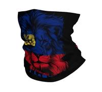 Chapeaux Demi-Visage Lion Drôle Drapeau du Liechtenstein Balaclava Unisexe Echarpe Tête Pirate pour Escalade, Course À Pied, Yoga