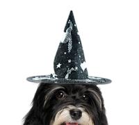 Chapeaux d'halloween pour Chiens | Costume de sorcière pour Animal Domestique | Chapeau en avec Sangle réglable pour Les Spectacles d'animaux sur Le thème des Vacances, Les événements