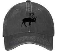 Chapeaux d'hiver classiques pour femmes et hommes, un chien mignon et un vaisseau spatial, casquette de baseball unisexe réglable, chapeau sandwich vintage pour l'extérieur, l'été, les voyages, le