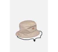 Chapeaux Dickies Clarks Grove Bucket pour Adulte L - XL Beige
