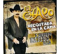 Chapo - Recostada en La Cama Y Muchos Exitos Mas