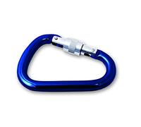 Chapuis 913ABF Mousqueton à Linguet avec Vis de Sécurité Aluminium Anodisé Charge de Travail Indicative, Bleu Roi, 110 mm/Ø 12 mm