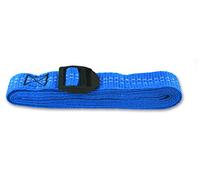 Chapuis GAB04 Lot de 2 Sangles Polypropylène avec boucle Plastique - tension maximale d'utilisation 20 kg - largeur 25 mm - Longueur 2, 5 m - Bleu, Set de 2 pièces