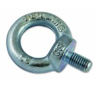 Chapuis, Lot de 10 anneaux de levage mâle, Acier galvanisé, M20, Charge de travail indicative 1 200 kg, Anneau Mâle utilisé pour le Levage, Charge de travail importante, Utilisation professionnelle