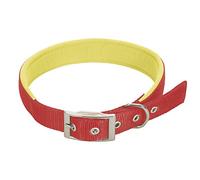 CHAPUIS SELLERIE Collier pour Chien Sangle Confort Nylon Rouge Largeur 25 mm, Longueur 55 cm, Taille L