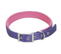 CHAPUIS SELLERIE Collier pour Chien Sangle Confort Nylon Violet Largeur 20 mm, Longueur 45 cm, Taille M