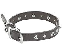 CHAPUIS SELLERIE Collier pour Chien Simili Cuir avec Clous Marron Largeur 15 mm, Longueur 35 cm, Taille S