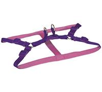 CHAPUIS SELLERIE Harnais pour Chien Sangle Réglable Nylon Violet 20 mm 50-70 cm, Taille L