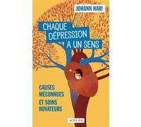 Chaque dépression a un sens Johann Hari (Auteur), Marion Bally (Traduction)