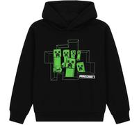 Character Character Hoodie Boys Minecraft 7-8 Yrs Unisex