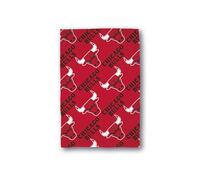 Character World Couverture Polaire Officielle NBA | Super Douce, Motif Chicago Bulls | Chaude et Super Douce au Toucher | Parfaite pour la Maison, la Chambre, Les soirées Pyjama et Le Camping | 100 x