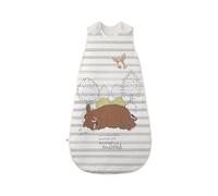 Character World The Gruffalo Infant Sleep Sack Sac de Couchage, Multicolore, Taille Unique Mixte bébé 6-18M