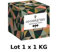 Charbon Coco Naturel 1kg Cubes - Chicha Narguilé / Barbecue - Longue Durée