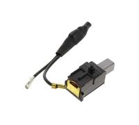 Pièce de rechange pour ponceuse GENERIQUE Charbon + support (par 1) pour Ponceuse Black & decker