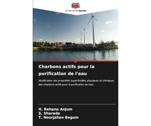 Charbons actifs pour la purification de l'eau: Modification des propriétés superficielles, physiques et chimiques des charbons actifs pour la purification de l'eau